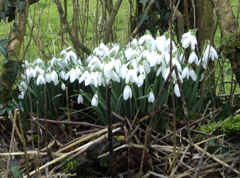 Laugharne Festival Weekend